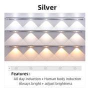 Ultra Thin LED Light - HOW DO I BUY THIS USB-Silver / 3 Colors in 1 Lamp / 20cm