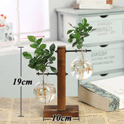Hydroponic Terrarium - HOW DO I BUY THIS Long T Shaped