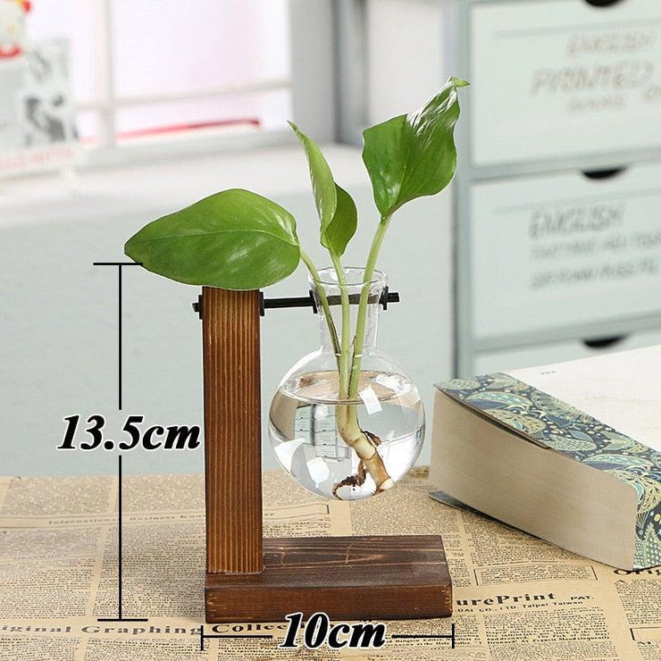 Hydroponic Terrarium - HOW DO I BUY THIS L Shaped