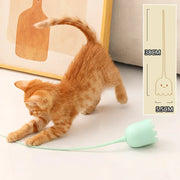 Interactive Cat Toy