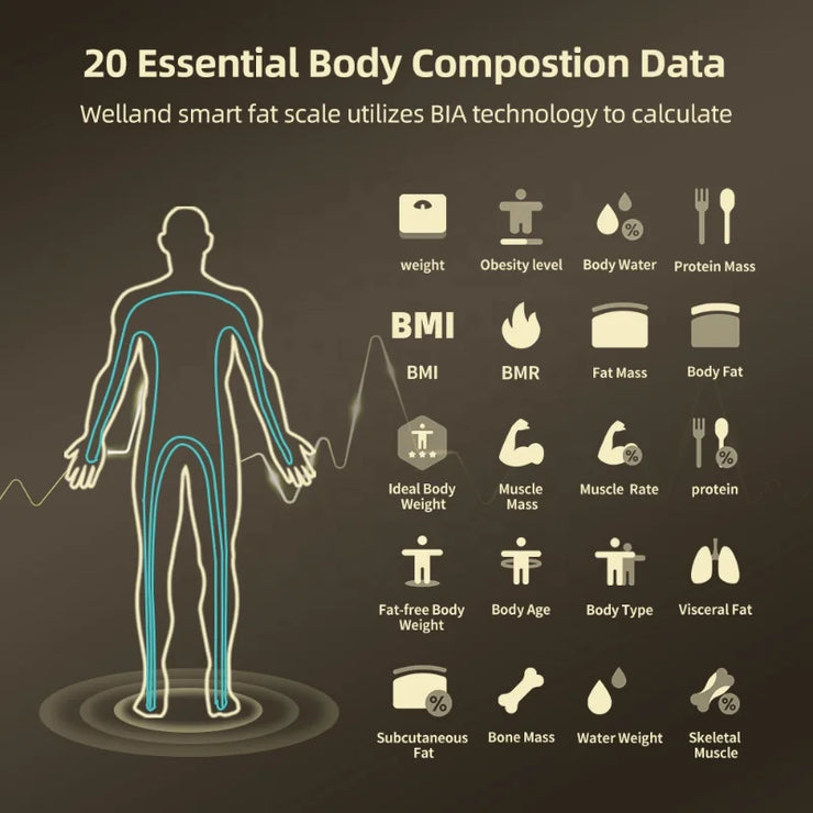 New Smart Body Composition Scale