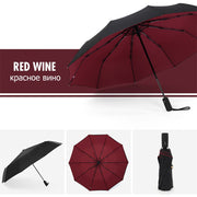 Windproof Double Layer Resistant Umbrella