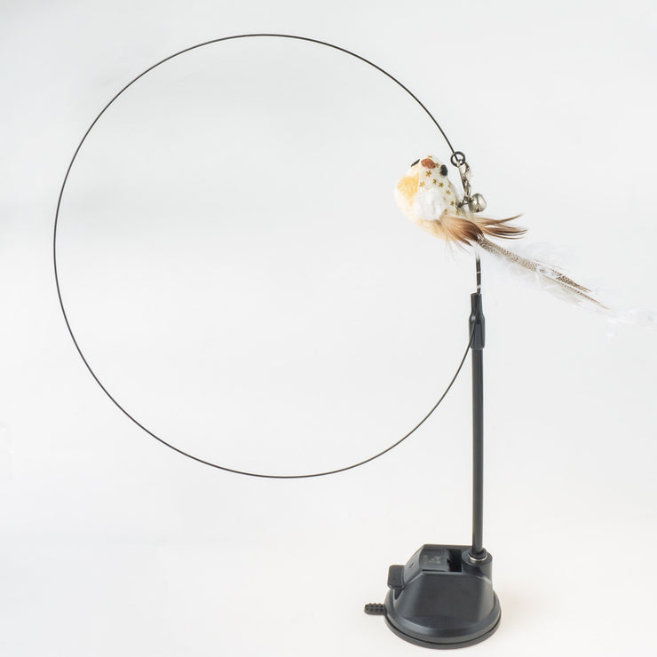 Interactive Feather Fun - HOW DO I BUY THIS Hibiscus Bird Set