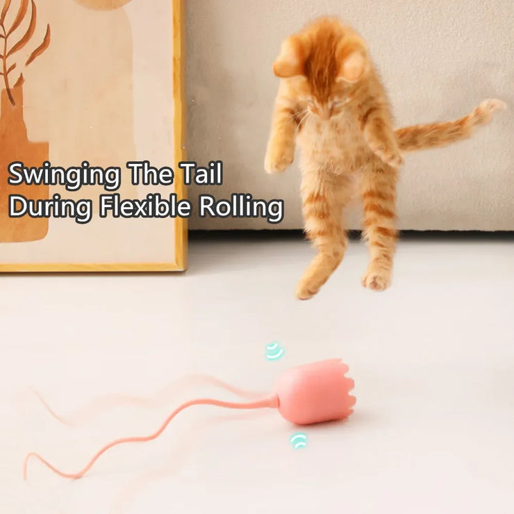 Interactive Cat Toy