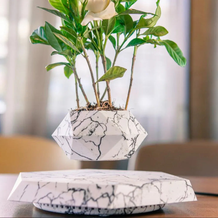 Floating Bonsai Pot - HOW DO I BUY THIS White Color / US