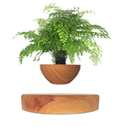 Floating Bonsai Pot - HOW DO I BUY THIS wood grain / US