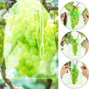 50pcs Fruit Mesh