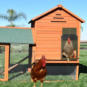 Automatic Chicken Coop Door Opener
