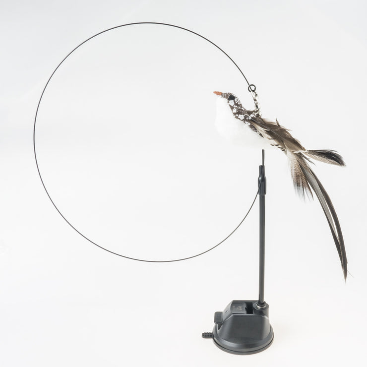 Interactive Feather Fun - HOW DO I BUY THIS Long tailed Bird Set