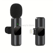 Professional Wireless Microphone