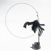 Interactive Feather Fun - HOW DO I BUY THIS Black Feather Set