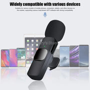 Professional Wireless Microphone