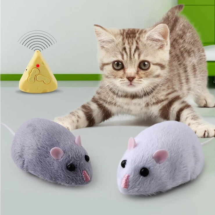 Remote Control Cat Mouse Toy