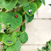 6pcs Plant Magnets Eyes