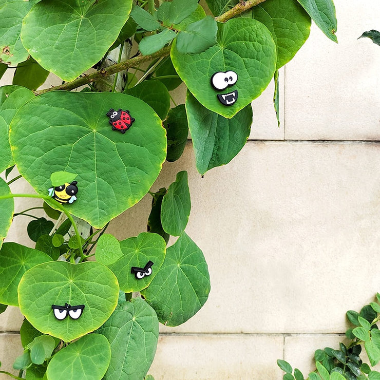 6pcs Plant Magnets Eyes