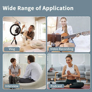 Professional Wireless Microphone