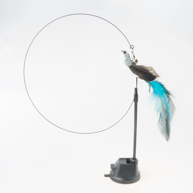 Interactive Feather Fun - HOW DO I BUY THIS Blue Bird Set