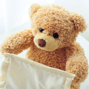 Hide & Seek Teddy Bear - HOW DO I BUY THIS