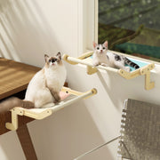 Cat Hanging Bed - HOW DO I BUY THIS