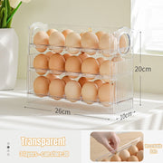 Egg Storage Box - HOW DO I BUY THIS Transparent / 3 Layers
