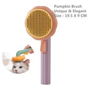 Pet Pumpkin Brush - HOW DO I BUY THIS Pumpkin purple