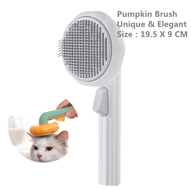 Pet Pumpkin Brush - HOW DO I BUY THIS Pumpkin white
