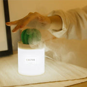 Cactus Humidifier - HOW DO I BUY THIS 625