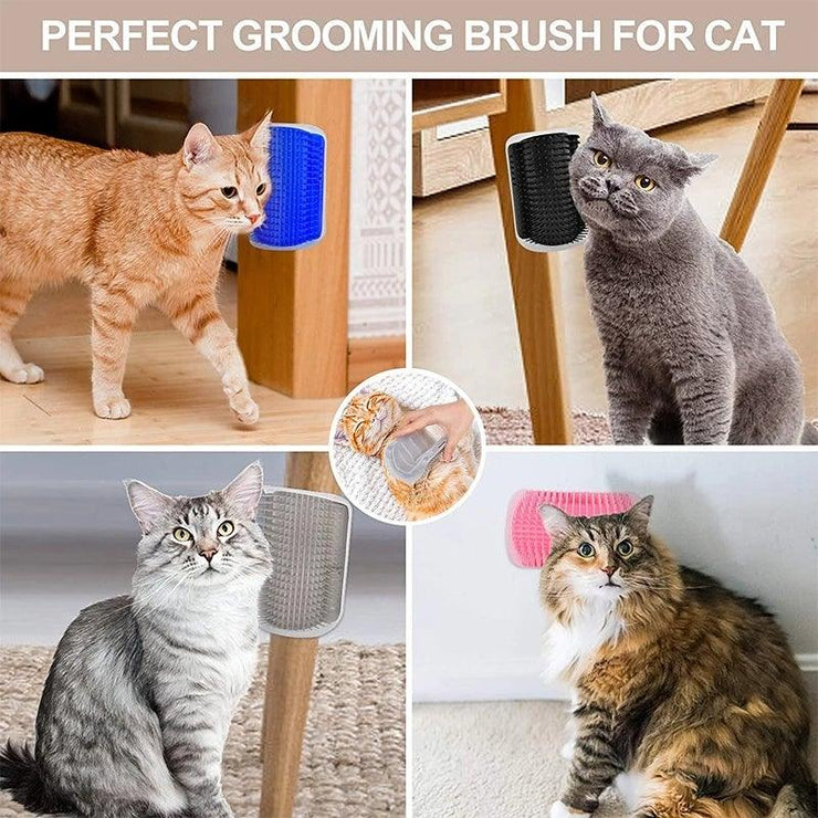 Cat Corner Brush - HOW DO I BUY THIS