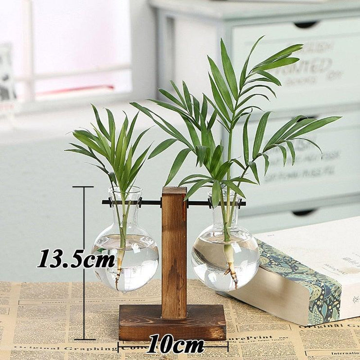 Hydroponic Terrarium - HOW DO I BUY THIS Short T Shaped