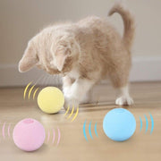 Interactive Smart Cat Toy - HOW DO I BUY THIS