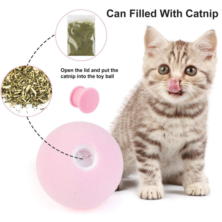 Interactive Smart Cat Toy - HOW DO I BUY THIS